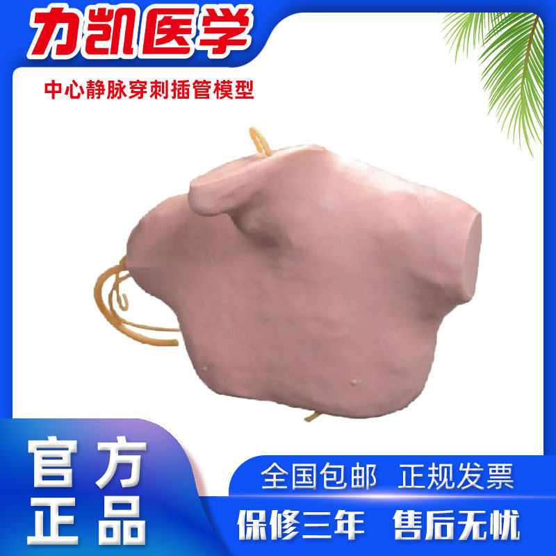 力凯L68B中心静脉穿刺插管模型深静脉穿刺注射模型医用护理模拟人