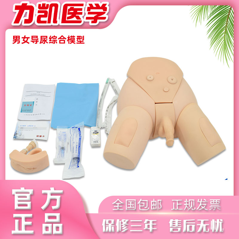 力凯LK/H17EF男女导尿综合模型护理练习导尿培训用假人体模型