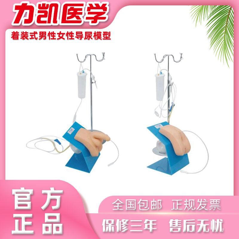 力凯H28EF着装式男性女性导尿模型外阴护理操作模块带支架可穿戴