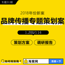 Brand communication Creative strategy planning plan Brand promotion Internet communication channel diagnosis construction whole case