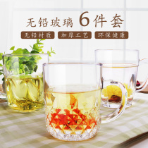 6-pack glass Household set with handle Transparent thickened cup Teacup without lid Small with handle