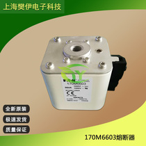 American Bussmann fuse 170M4116 170M4117 170M4118 170M4119 spot