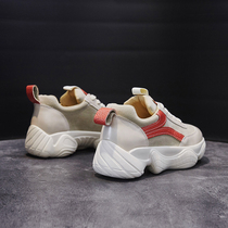 Net Red Autumn Winter New Casual Shoes 2022 Spring Sports Old Daddy Shoes Super Fire Single Shoes Thick Bottom Women Shoes ins Chains