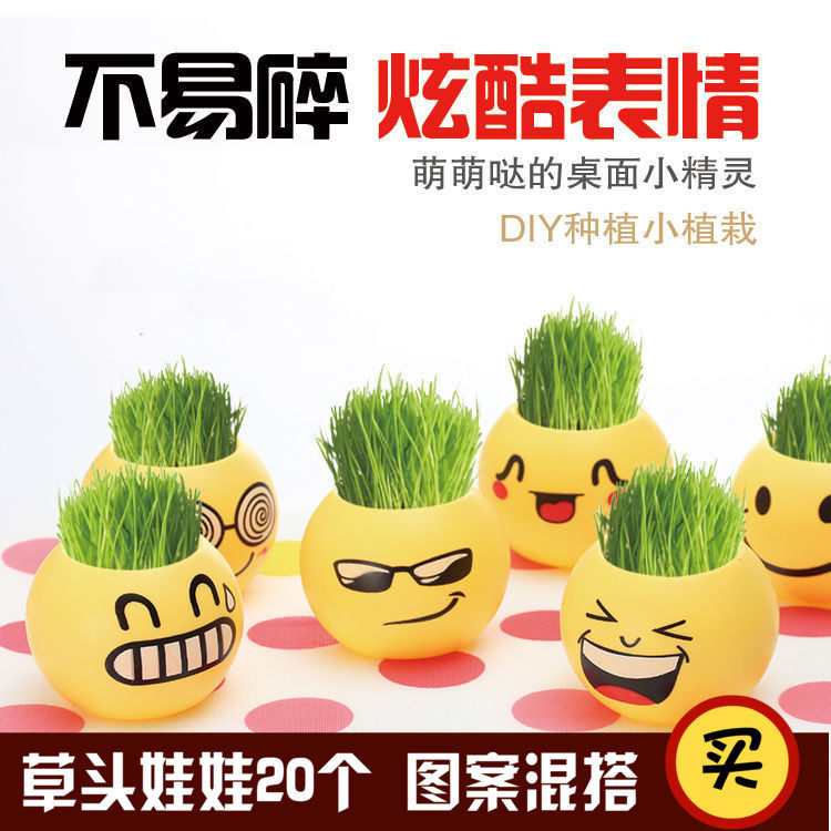 Primary School Children Creativity Small Gift Kindergarten Birthday Gift Cute Potted Children Little Toy Event Prizes Gift