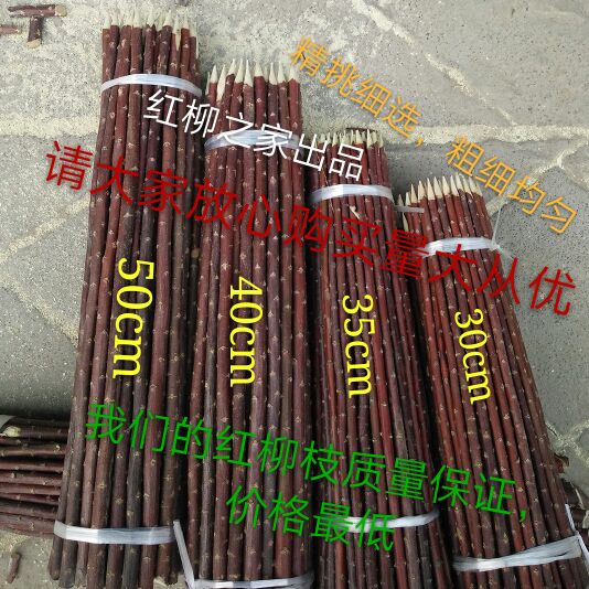 Red Willow Signature 30 cm Willow Red Willow Signature Red Willow Signature Red Willow 220