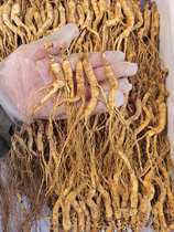 Changbai Mountain ginseng wild ginseng forest ginseng soaked in wine soup ginseng tea ready-to-eat ginseng fresh ginseng gifts for parents