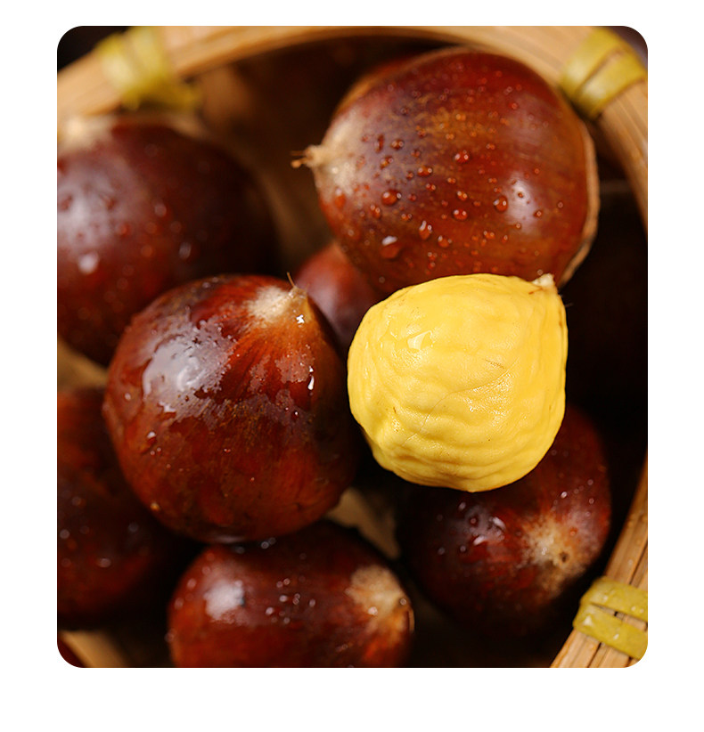 【中国直邮】 爱生活 建瓯锥栗  板栗  农家现摘  中果直径约(2.0-2.3cm)  500g/袋