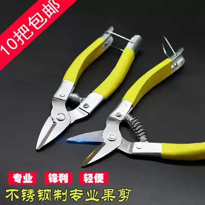 Stainless steel pick pepper grape scissors Orange scissors thin fruit scissors Tomato scissors fruit picking scissors vegetable and fruit scissors lemon scissors