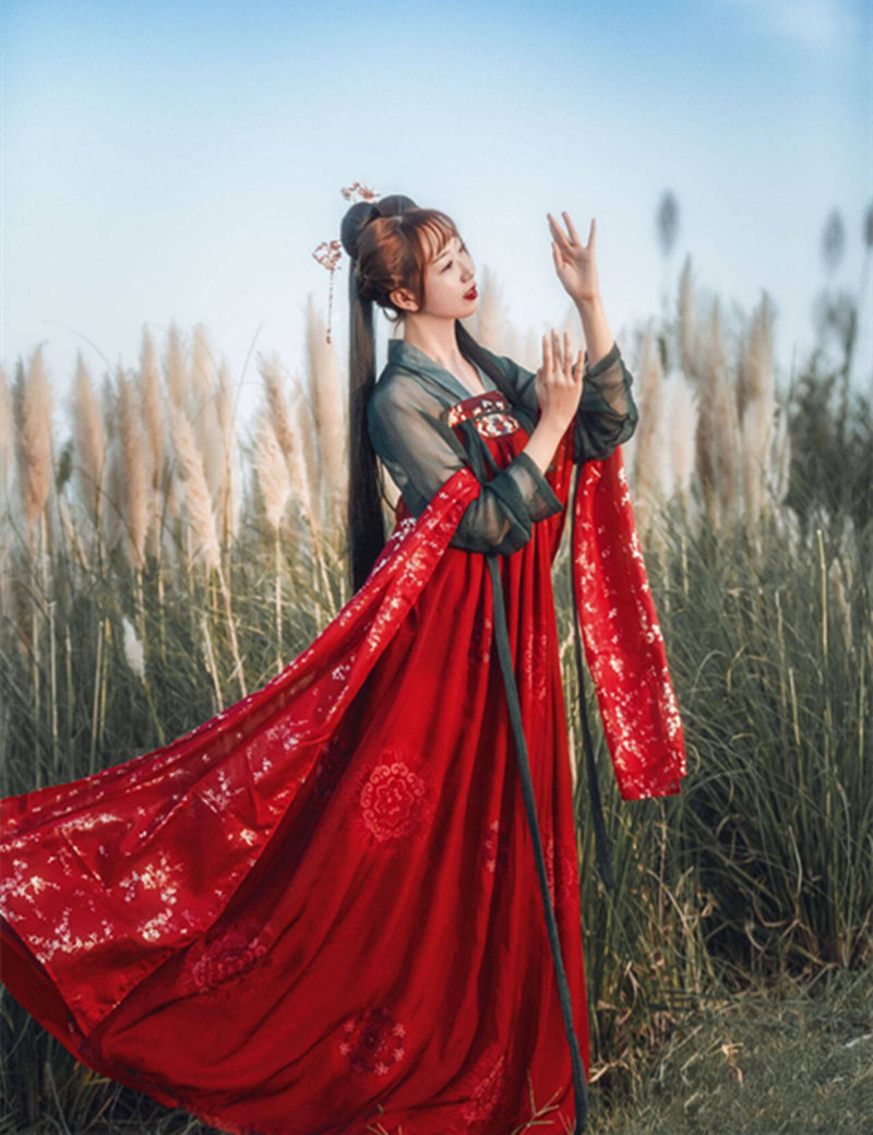 Hanfu woman Qi chest skirt costume woman Red Fengge Luan Hanfu Chinese style costume Hanfu suit