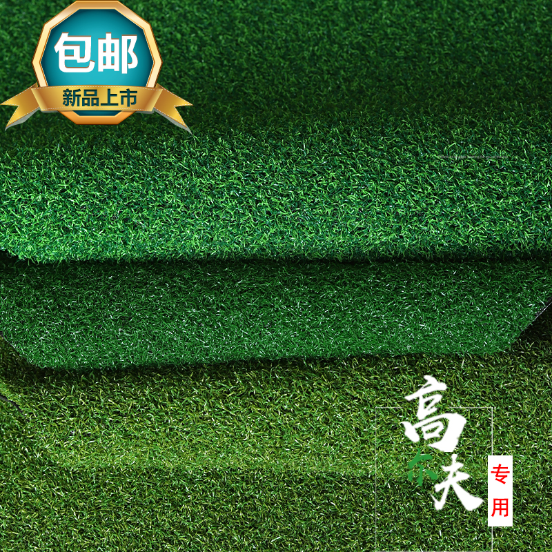Door Court Special Artificial Lawn Fake Lawn Emulation Turf Plastic Door Polo Grass Carpet Curry Grass Outdoor Decoration