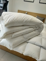 The Japanese style minimalist unstamped two-story goose down quilted by the duvet quilted by the feather quilt