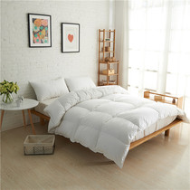 Exit Japan Original single No print Triangle quilted down quilt covet coveted core pure white quilt core monolayer type