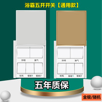 Household five-open Bath switch 5 five-in-one sliding cover bathroom bathroom heater universal air heating waterproof panel
