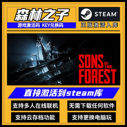 Son of the Forest 2 steam activation code cdk is in the library. All DLC supports online computer PC genuine Chinese game.