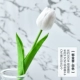 Thời trang hoa tulip đơn giản PU mô phỏng trang trí hoa trang trí hoa anh túc giả hoa cửa hàng cắm hoa trang trí hoa - Trang trí nội thất shop bán đồ dcor bàn học