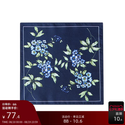 GIEVES CHARLES men's printed handcrafted square, pocket square, suit pocket square gift