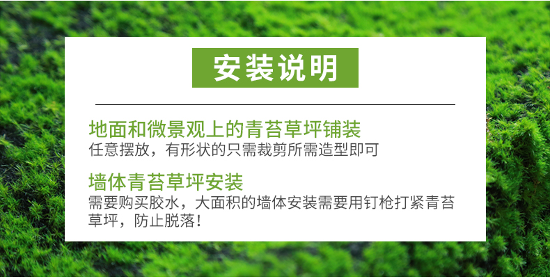 仿真苔藓微景观DIY植物人造青苔草皮盆景假山装饰铺面盆栽造景详情17