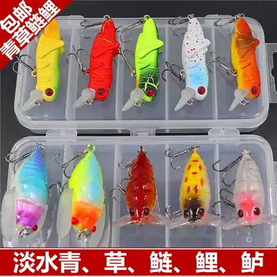Luya bait set Silver carp carp grass carp crucian carp Four family bait Freshwater bait far throw insect bionic bait