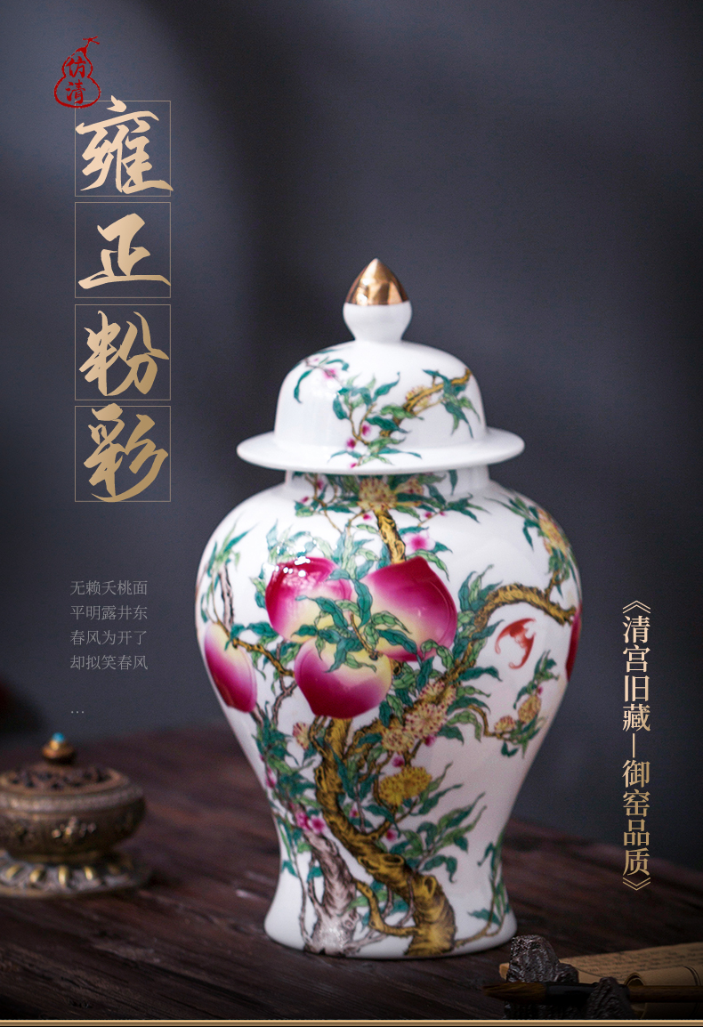 Jingdezhen ceramic general hand - made pot vase home sitting room porch rich ancient frame office furnishing articles ornament