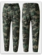 661 зеленые джунгли [штаны] утолщен и теплый плюш