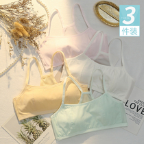Girls underwear development period anti-bump junior high school students girls small vests pure cotton middle and big children