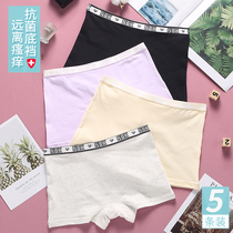 13 Little girls boxer underwear 15 middle and big child cotton Japanese soft girl 12-year-old girl antibacterial four-corner shorts head