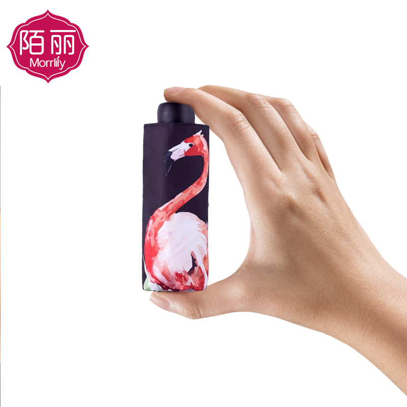 粉丝福利购优惠券30元