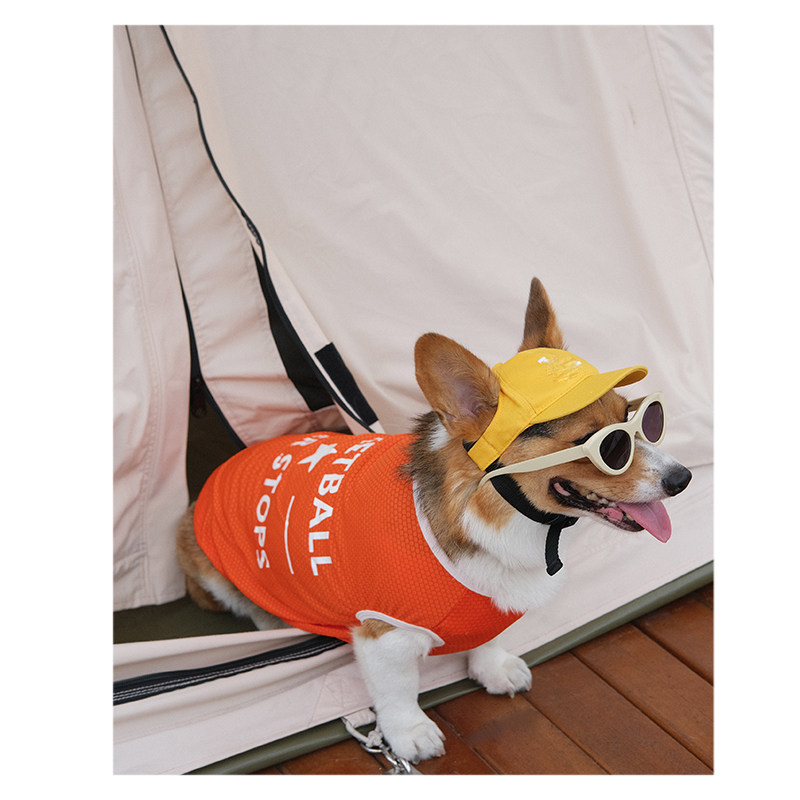 Tide brand Korean pet hat puppy cat net red duck tongue baseball cap Teddy Bichon small dog photo props