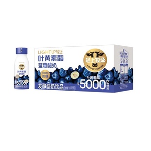 蓝莓叶黄素酯酸奶饮品220ml*10瓶