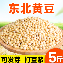 2022 Northeast Non-GMO New soybean 5 Jin farmhouse Self-planting Heilongjiang Soybean Raw Bean Sprout special for soybean milk