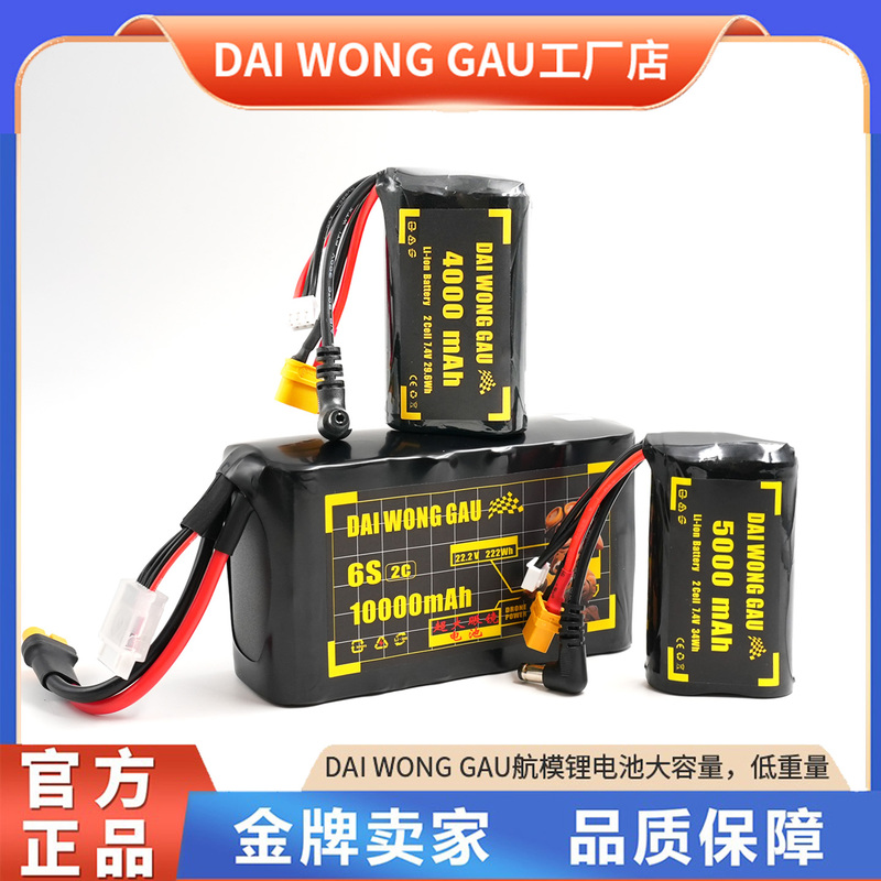 Big Yellow Dog 4000, 5000Mah2S Tx16S Long-Lasting Remote Control Drone with Electric Goggles