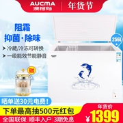 Tủ đông lạnh Aucma / Aucma BC / BD-256NA và tủ đông lạnh tiết kiệm năng lượng thương mại công suất lớn