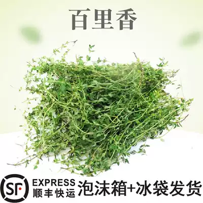 SF fresh spices Thyme fried steak raw materials 100g Western spices bartending barbecue baking raw materials