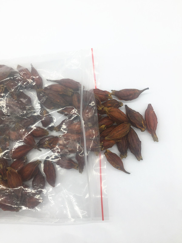 黄栀子果粉干上色食用500g散装包邮,让你的沙县小吃和炖罐卤味瞬间升级!-栀子-淘宝好物网