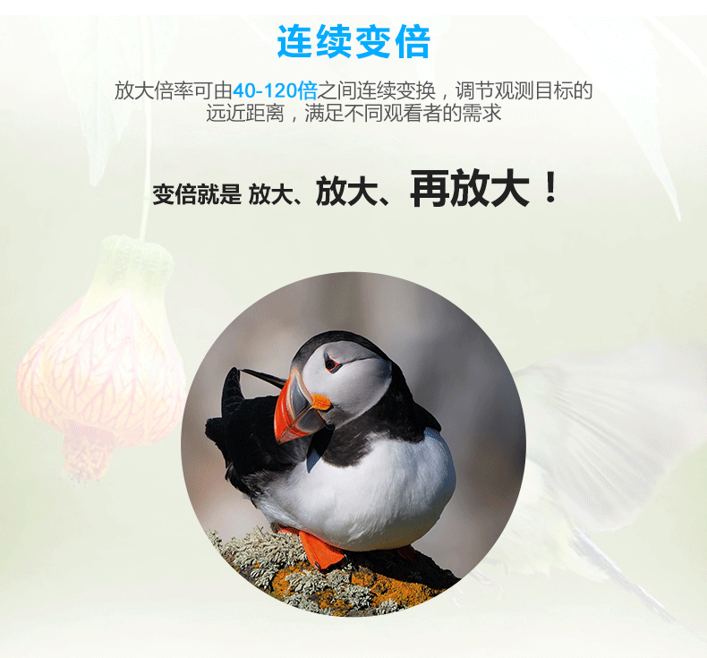 Thông tin chi tiết trong mùa thu 120 zoom kính viễn vọng đơn ống kính chim độ nét cao xem gương mục tiêu buổi hòa nhạc ảnh điện thoại - Kính viễn vọng / Kính / Kính ngoài trời ống nhòm hồng ngoại xuyên quần áo
