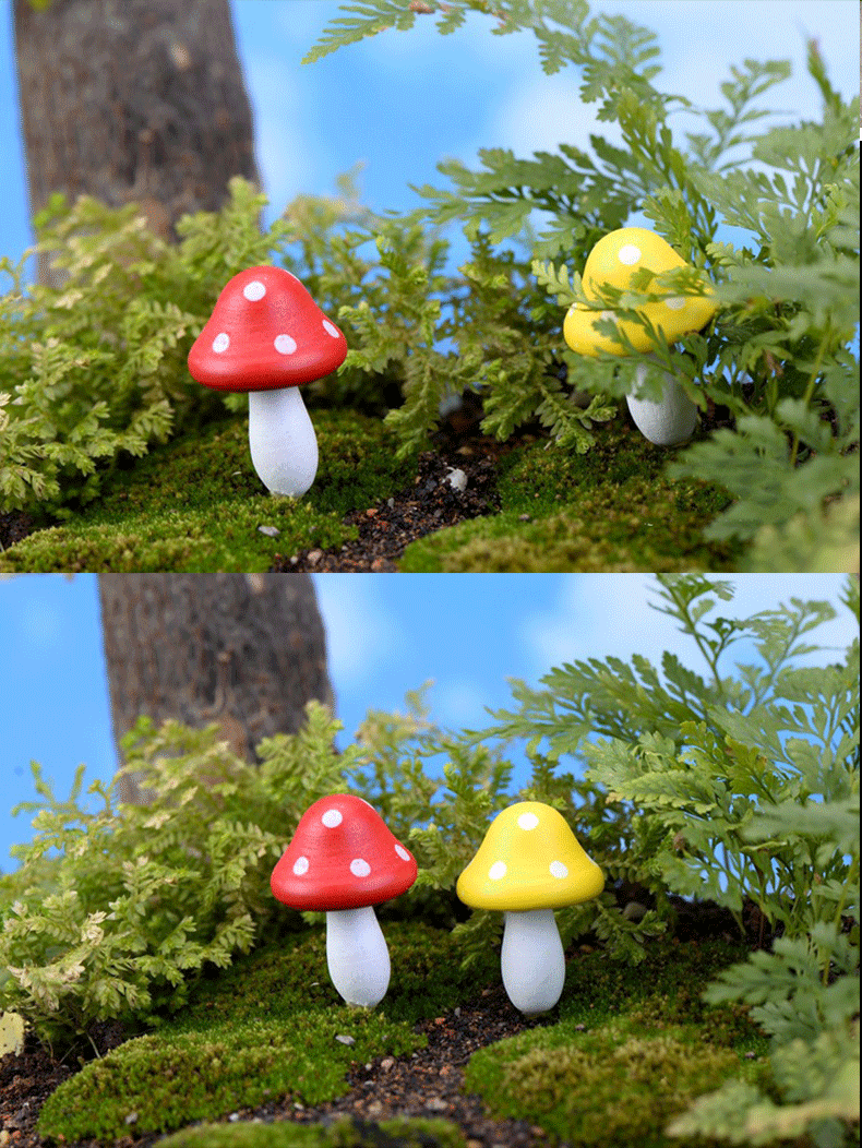 Mushroom_ (4) .gif
