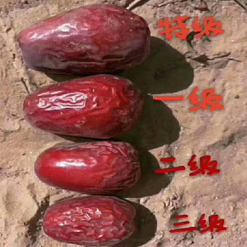 Xinjiang jujube 5 pounds of meat thick core small length of about 5 cm