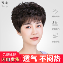 Wig Lady Short Hair Total Headgear Old Lady Natural Hairstyle Live-action Hair Mother All Real Hair Sets