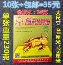 Dachau Big Golden Bull A1# Taurus type rat gum rat cage rodenticizer 10