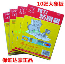 Dachau A1 standard sticky mouse board strong mouse paste strong mouse stick stick mouse trap 10 pieces