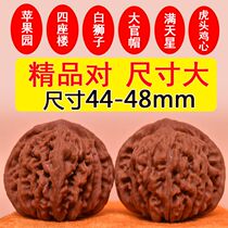 Text to play walnut boutique ancient play to play the hand to play the Mountain Hemp Walnut Four Blocks White Lion Subhead Apple Orchard Official Hat Tiger Head