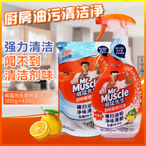 Mr. Weisen Kitchen Heavy Oil Stain Cleaner Hood Detergent Spray Household 500g420g Combo