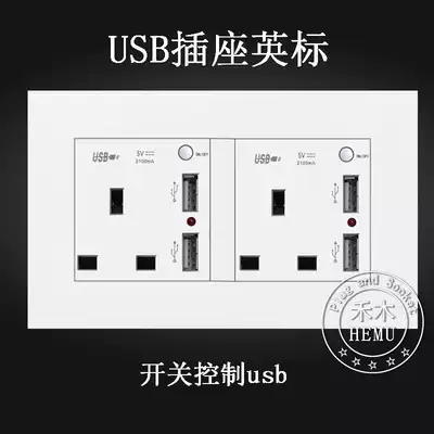 British gauge with USB socket panel mobile phone charging switch 146 type 2 two-position 13A British British regulation Hong Kong