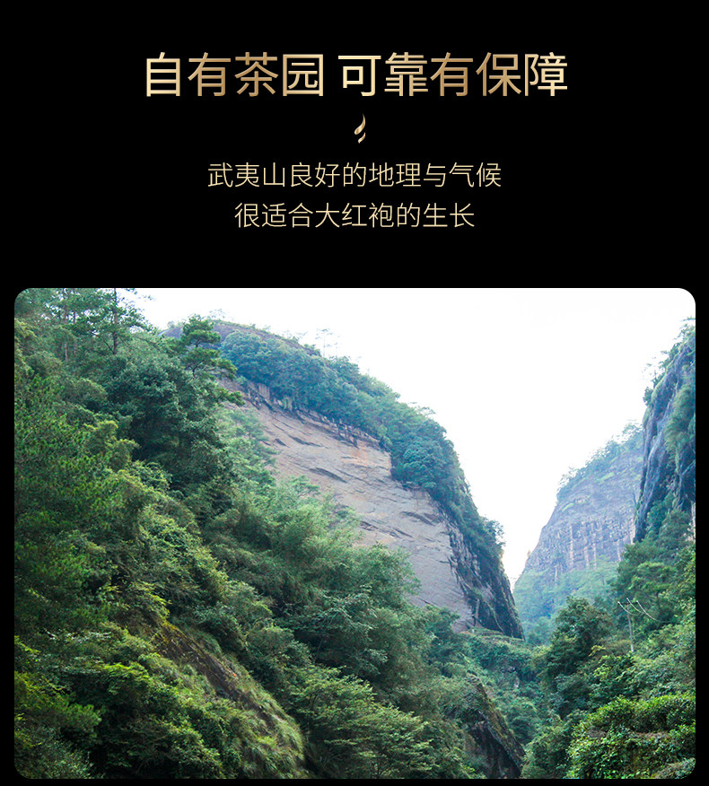 雅鑫苑 正宗武夷山大红袍 浓香型礼盒装 128g 图9