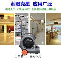 100 million Force Blow-drying Machine YLB01 Ground Rug Air Dry Dehumidified Blower Hotel Mall Supermarket Blow Ground Blower