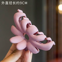 Легкий порошок хризантема