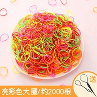 Яркий цвет большой круг 2000 корней