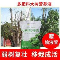 Large Tree Nutrient Solution Trees Pendant Needle Liquid Activation Liquid Jo Wood Transplanting Osmanthus Suspended Bag Liquid Comeback Shoots Rooting Into Living