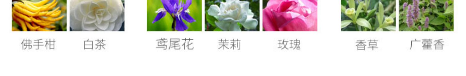 gift tẩy bồn cầu Gặp gỡ Xiangfen làm mát không khí tự động bình xịt nước hoa bổ sung chất lỏng khách sạn đặc biệt phòng tắm khử mùi nhà vệ sinh - Trang chủ lau sàn diệt khuẩn