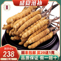 (Origin delivery)Yunlu First phase Cordyceps Lyophilized Cordyceps Cordyceps Gift Box 2 grams